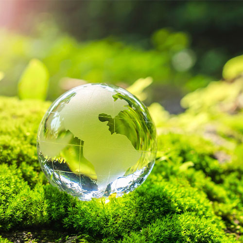 Eco Friendly